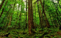 世界杯决赛二手票标价近230万美元，8年涨近10倍，世界杯决赛票价多少