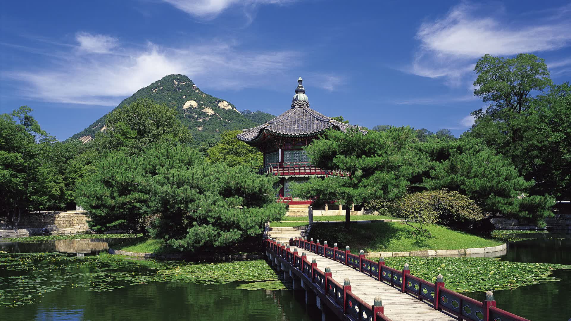 世界滑板公开赛城市青年节活动吸睛,2021年世界滑板日活动时间